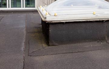 disadvantages of Hogbens Hill flat roofs