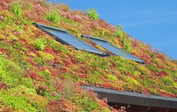 Hogbens Hill living roof systems