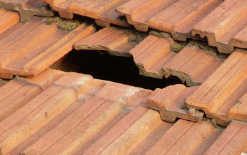 roof repair Hogbens Hill, Kent